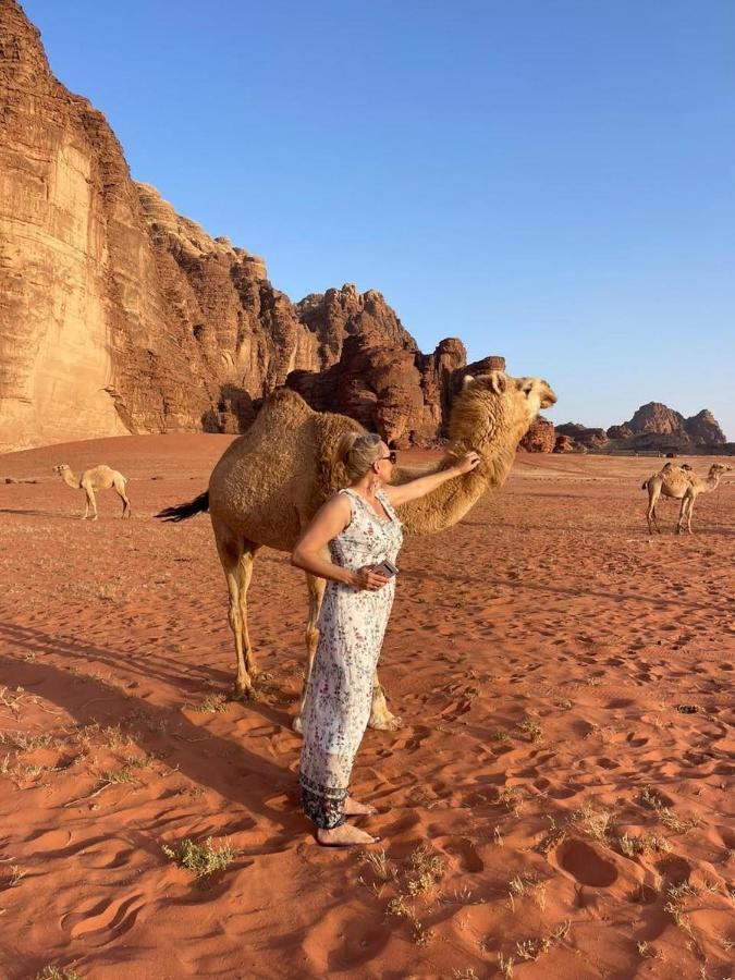 Rum Under The Stars Camp Wadi Rum Eksteriør billede