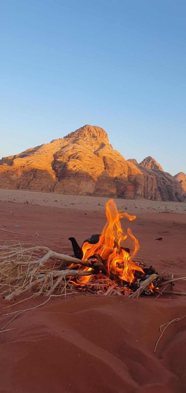 Rum Under The Stars Camp Wadi Rum Eksteriør billede